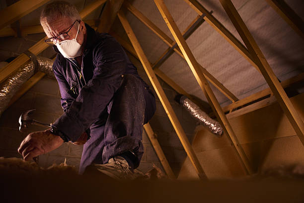 Best DIY Insulation Kits and Guidance in Eggertsville, NY