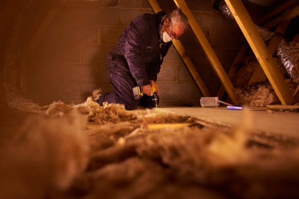 Best Specialized Insulation Services in Eggertsville, NY